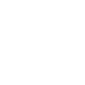 icon-carus-institut